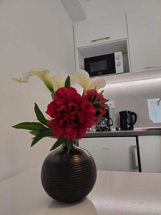 Apartment Mara Дубровник Екстериор снимка